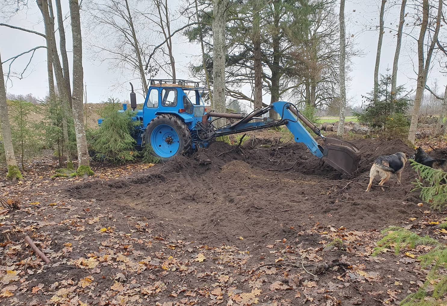 Luigepesa elamusmajutus ja romantiline dome glamping