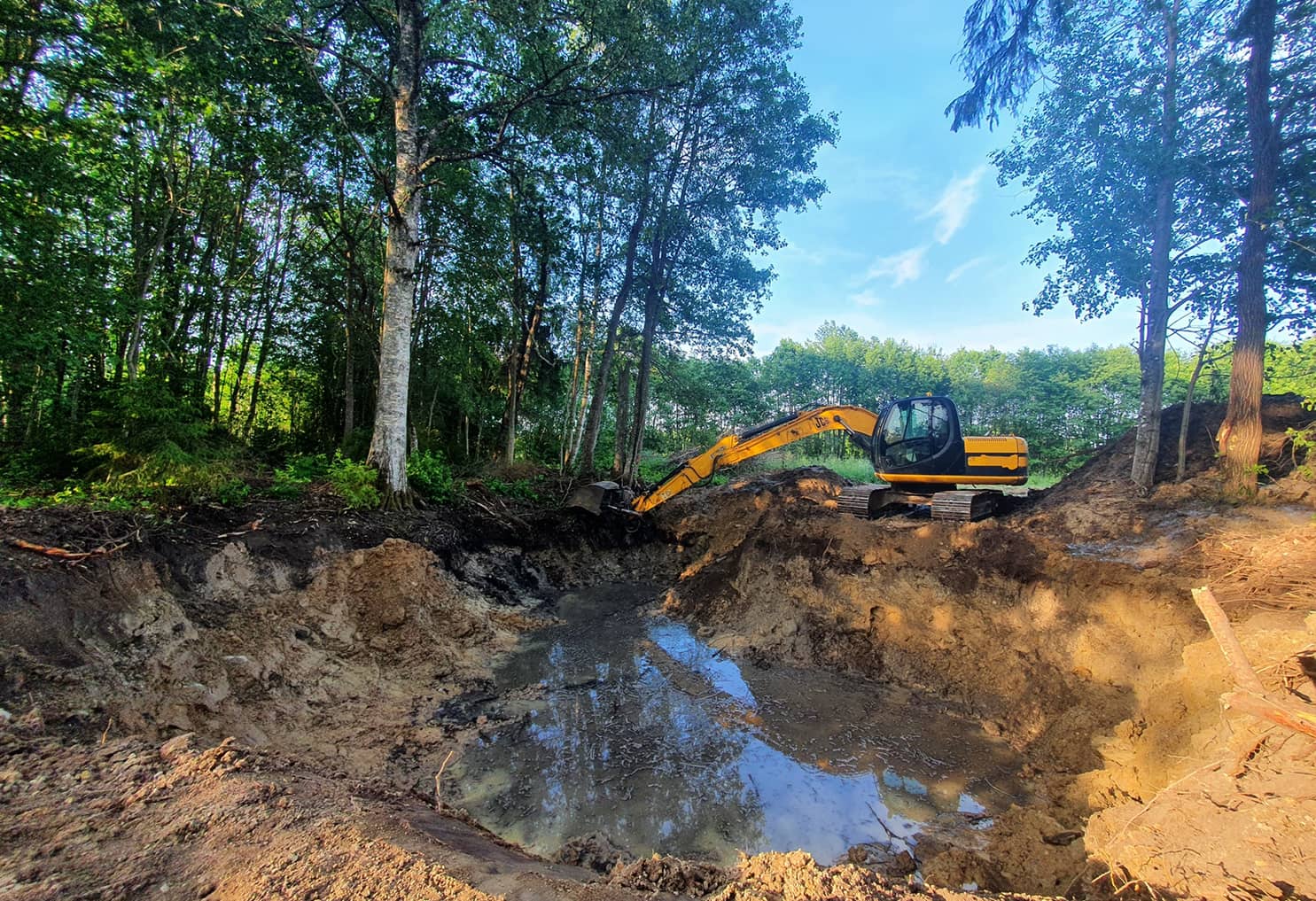 Luigepesa puhkemaja tiik sauna kõrval