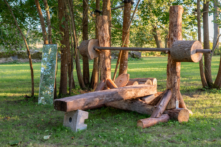 Luigepesa elamusmajutuses väli jõusaal