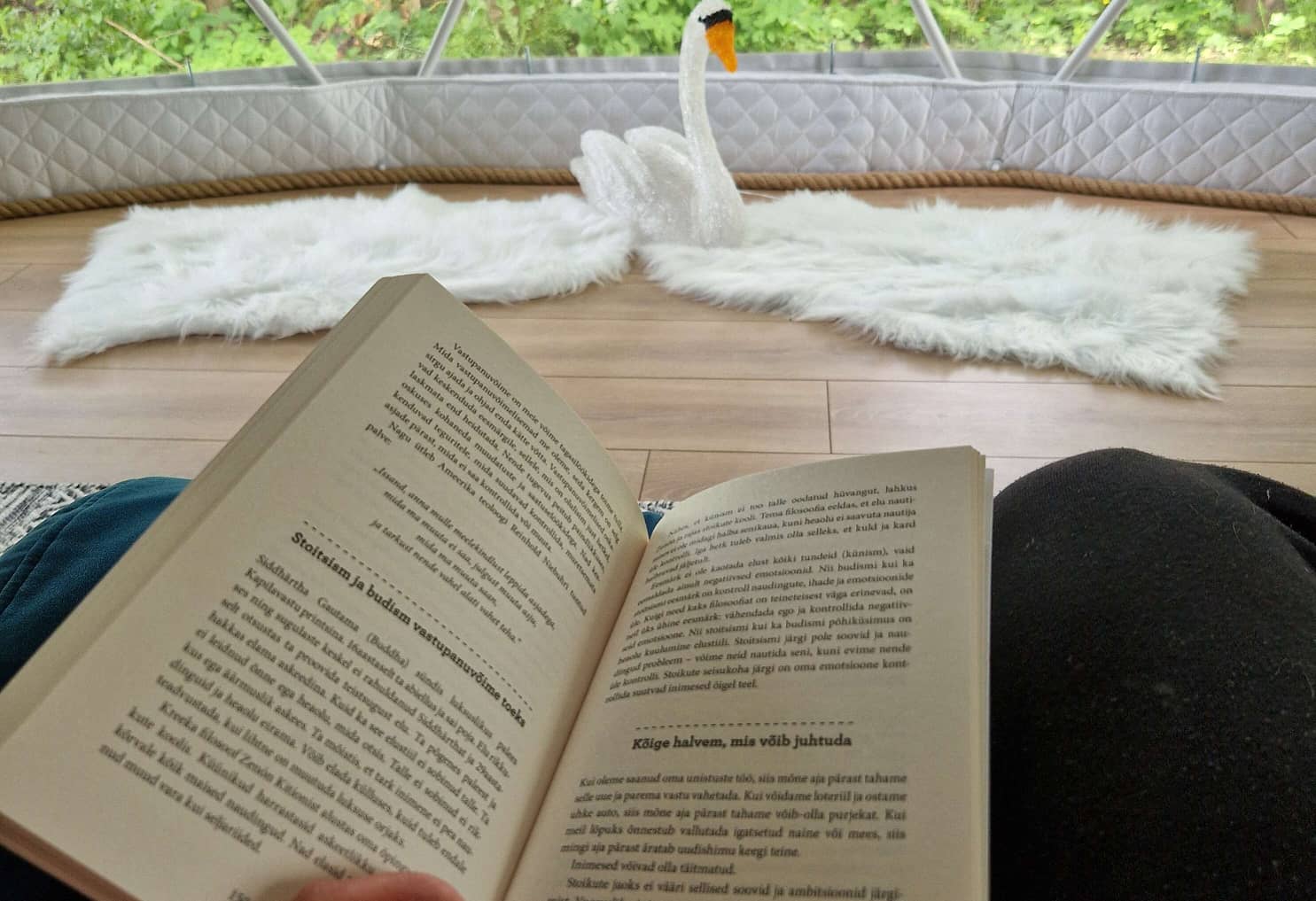 Suvel on Luigepesa puhkemajas imeline